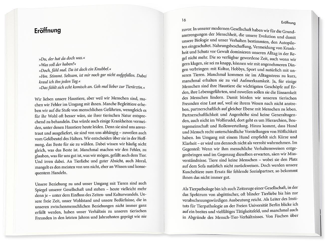 Thumbnail - Das Kuscheltierdrama Achim Gruber