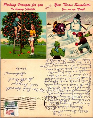 Vintage Picking Oranges For You Florida Snowball Postcard Handwritten Postmark