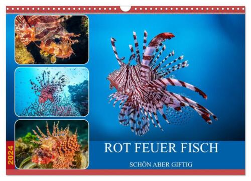 Rot Feuer Fisch (Wandkalender 2024 DIN A3 quer), CALVENDO Monatskalender Gödecke - Bild 1 von 1