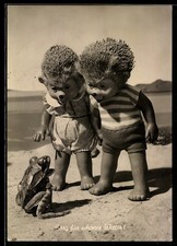 Ansichtskarte Igel Mecki´s Kinder treffen auf einen Frosch 