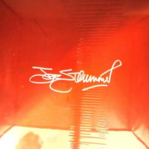 Joe Strummer 001 | eBay