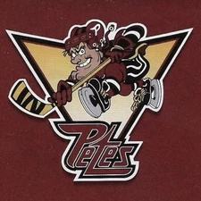 2004-05 Peterborough Petes Hockey Team Issued Postcards Trading Cards VERY RARE!