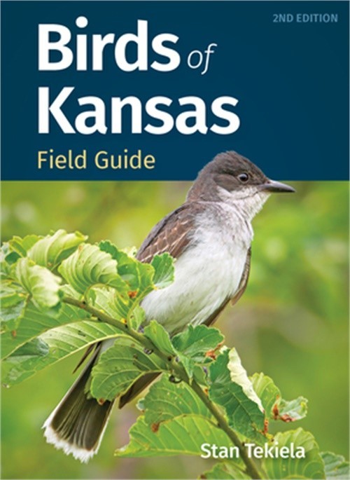 Birds of Kansas Field Guide (Paperback or Softback)