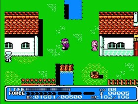 Crystalis [COMPLETE IN BOX] &ndash; Nintendo Entertainment System (NES)