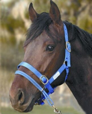 Monty Roberts Dually Halter – Cavezza Morbida + Piombo/Lunghe Linee – Tutte Le Taglie
