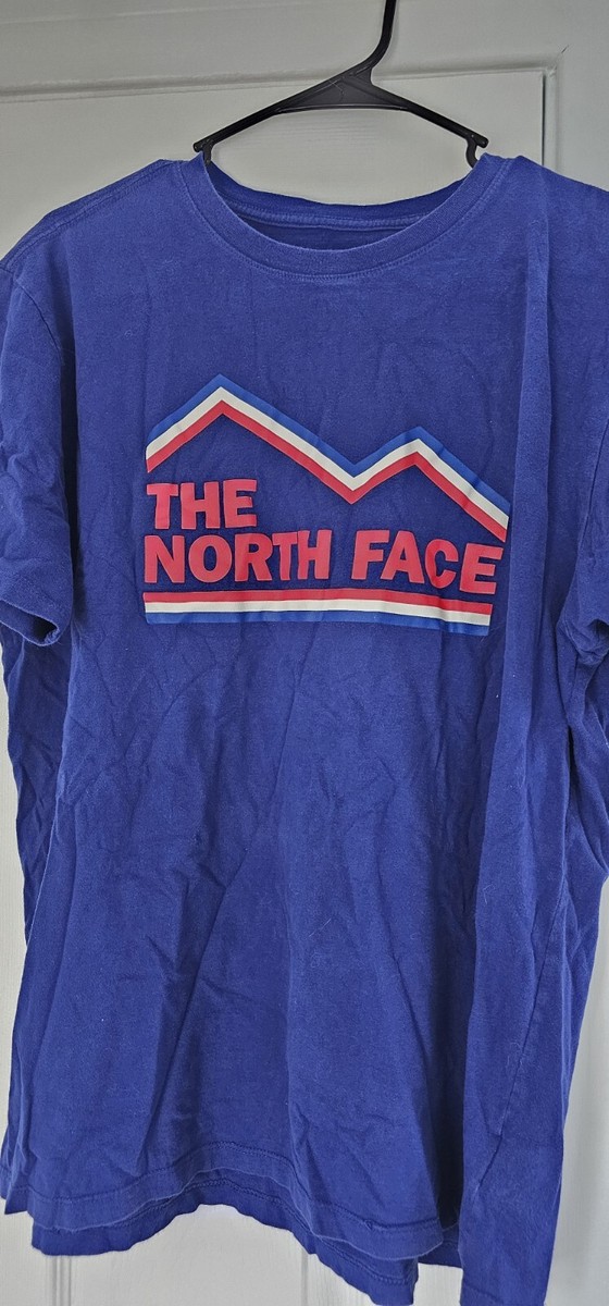 The North Face Men's Blue Mountain Crew Neck Graphic Logo T Shirt