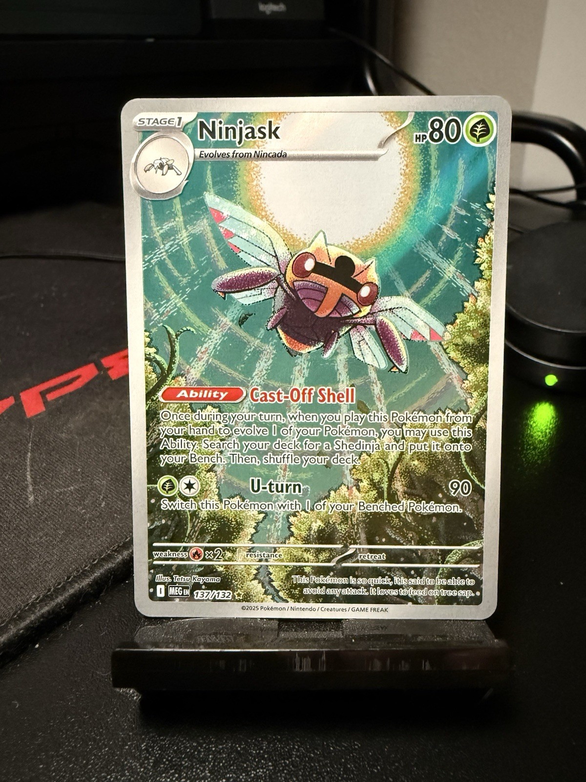 Ninjask 137 Holo Mega Evolution Pokemon Card English NM