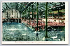 San Francisco California~Sutro Baths Interior~Folks Swimming~c1905 Postcard