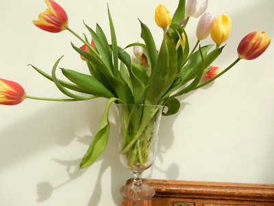 Antike Feuerstein Glas Vase Intaglio Schliff Fuchsia hoch 8 1/8'' Sockel Blumen sehr guter Zustand