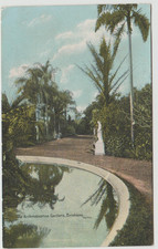 THE ACCLIMATIZATION GARDENS BRISBANE QLD SHUREY POSTCARD C1910