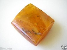 Bernstein Butterscotch Honig Natur Quadrat 11,6 g/ 3,1 x 3,0 x 1,5 cm Amber