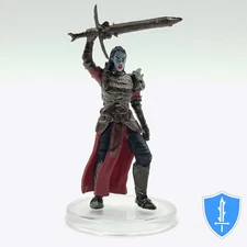 Blackguard - Mordenkainen Monsters of Multiverse #42 D&D Icons Realms Paladin