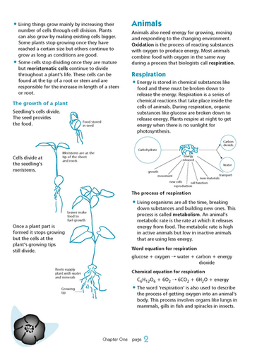 Excel Essential Skills - Science Revision Workbook Year 9 - Picture 5 of 12