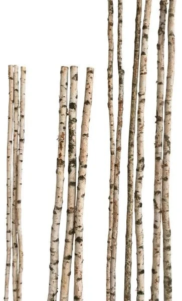 Birkenstamm 180 cm - ø 4-6 cm Birkenholz Birke Deko Holz - Bild 4 von 4