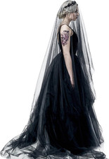 1 Tier Black Bridal Veil 16Ft Long Gothic Sheer Lace Cathedral Wedding Dress Sha