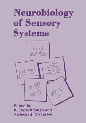 Neurobiology of Sensory Systems by R NareshSingh (Paperback)