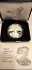 2025 W Silver American Eagle One Ounce  Proof Coin W/OGP & COA