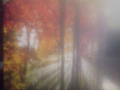 Autumn/Fall Canvas Picture Frame