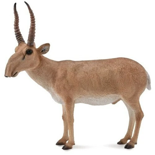 CollectA Saiga Antelope - Picture 1 of 1