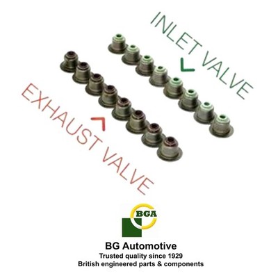 VALVE STEM SEAL FOR DACIA NISSAN 100NX B13 GA16DS GA16DE ENGINES (US STOCK)