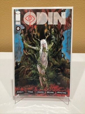 Odin #1 - Cover D 1:50 Martin Simmonds Variant Image Comics 2026