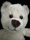 Bild 11 von 12