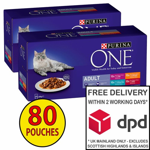 Purina One Mini Fillets in Gravy Cat Food Mixed Pack 2x(40x85g) = 80
