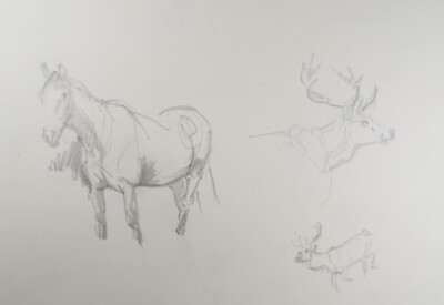 Original Bleistiftskizze, Michael Lyne (1912-1989), ''Pferd und Hirsch Studie'', 60er Jahre