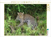 Calvendo Puzzle The Leopard | 2000 Pieces, Finished Size 35.4 × 26.4 In (90 × 67