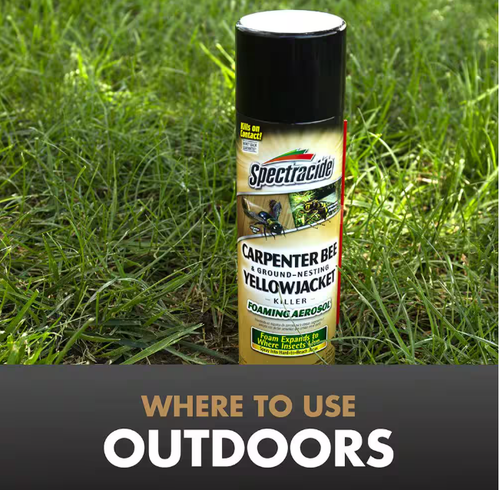 Spectracide Carpenter Bee and Yellow Jacket Insect Killer 16-oz Foaming Aerosol - Picture 2 of 6