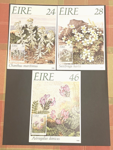 A17 IRLAND 3 x PHQ Karten mit Briefmarken und Ersttagsstempel IRISCHE BLUMEN