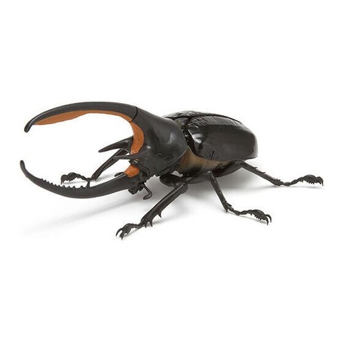 Ikimono Encyclopedia Kabutomushi 03 alle 6 Typen Set Bandai Kapsel Spielzeug von Jp - Bild 5 von 10