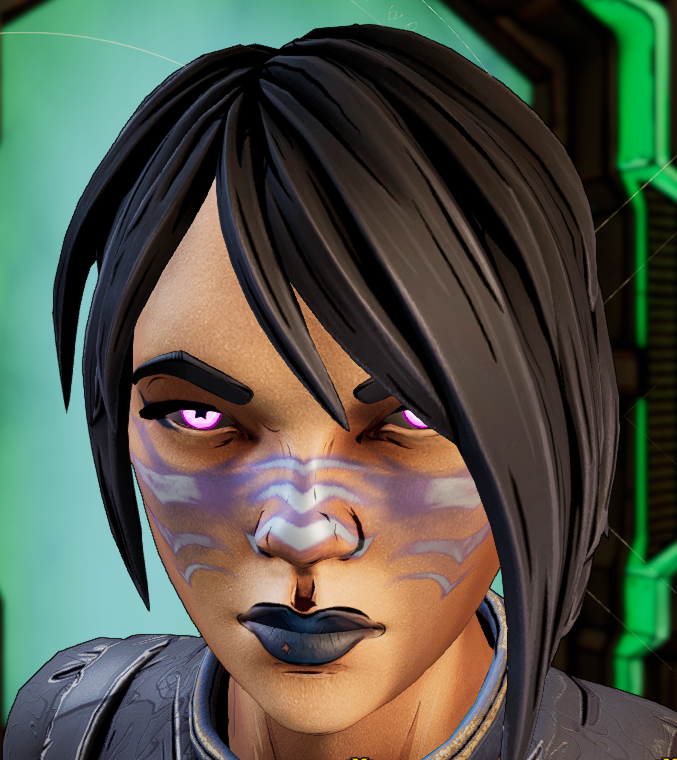 PC XBOX PS Tiny Tina's Wonderlands DLC COSMETICS Heads