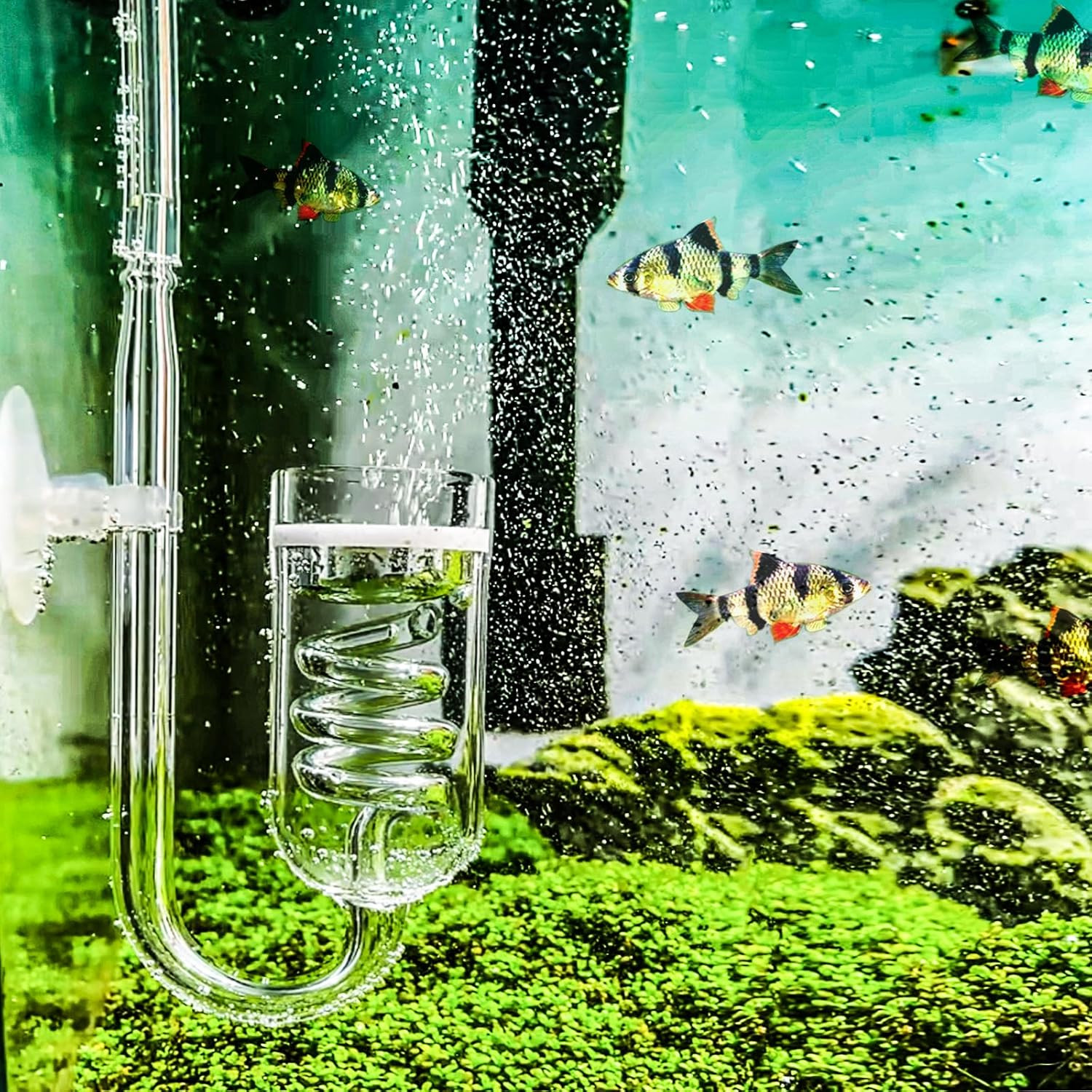 Aquarium CO2 Glass Spiral Diffuser with Bubble Counter Check Valve Suction Cup