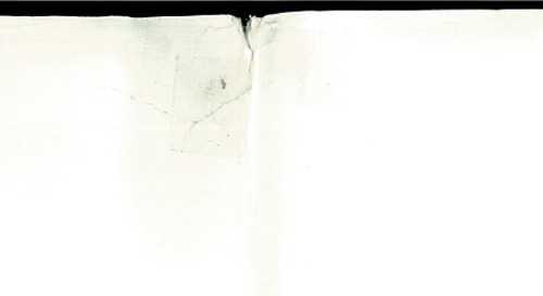 DRIED FLOWERS FOR ALL SEASONS: Complete Guide to Selecting Drying etc, VTG HBDJ - Imagen 6 de 6