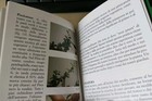 Foto 6 di 6