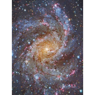 Hubble Space Telescope NGC 6946 Supernova Fireworks Galaxy XL Art Canvas Poster