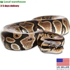 Realistic Big Rubber Snake Lifelike Scary Prank Toy Joke Party Prop Garden
