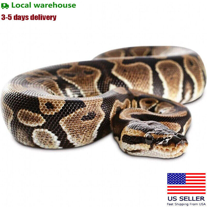 Garden Realistic Snake Lifelike Scary Prank Toy Joke Party Prop
