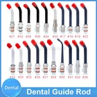 Universal Dental Optical Fiber Guide Rod Tips For LED Lamp Curing Light 20Models
