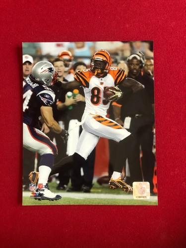 Chad Johnson (Bengals), Licensed, Photo File  8" x 10" Color Photo (Vintage) - Picture 1 of 1