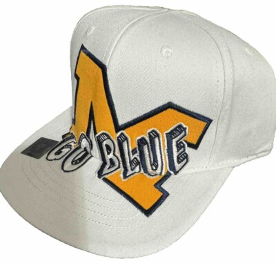 Men s Michigan Wolverines Hat Go Blue Flexfit M/L Top Of The World