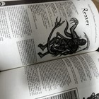 Foto 3 di 4