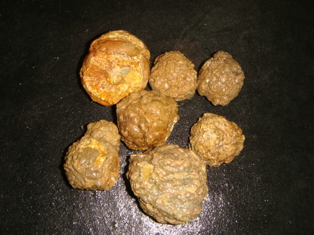 7  SMALL OLD MIXED WHOLE THUNDER EGGS  1   1/2   POUNDS   OREGON