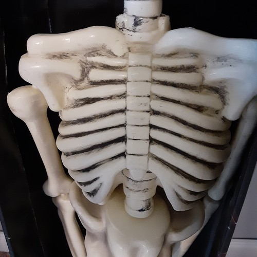 Vtg 36" Janglin Bones Skeleton Sound Activated Flashing Lights Shaking & Sounds - Picture 5 of 12