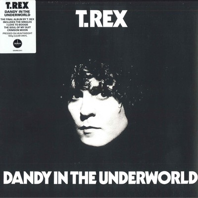 英LP T. Rex Dandy In The Underworld DEMREC641 Demon Records /00260 s-l400.jpg