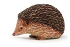 MOJO ANIMALI SELVAGGI WILD LIFE RICCIO HEDGEHOG IGEL NO LABEL ETICHETTA 387035