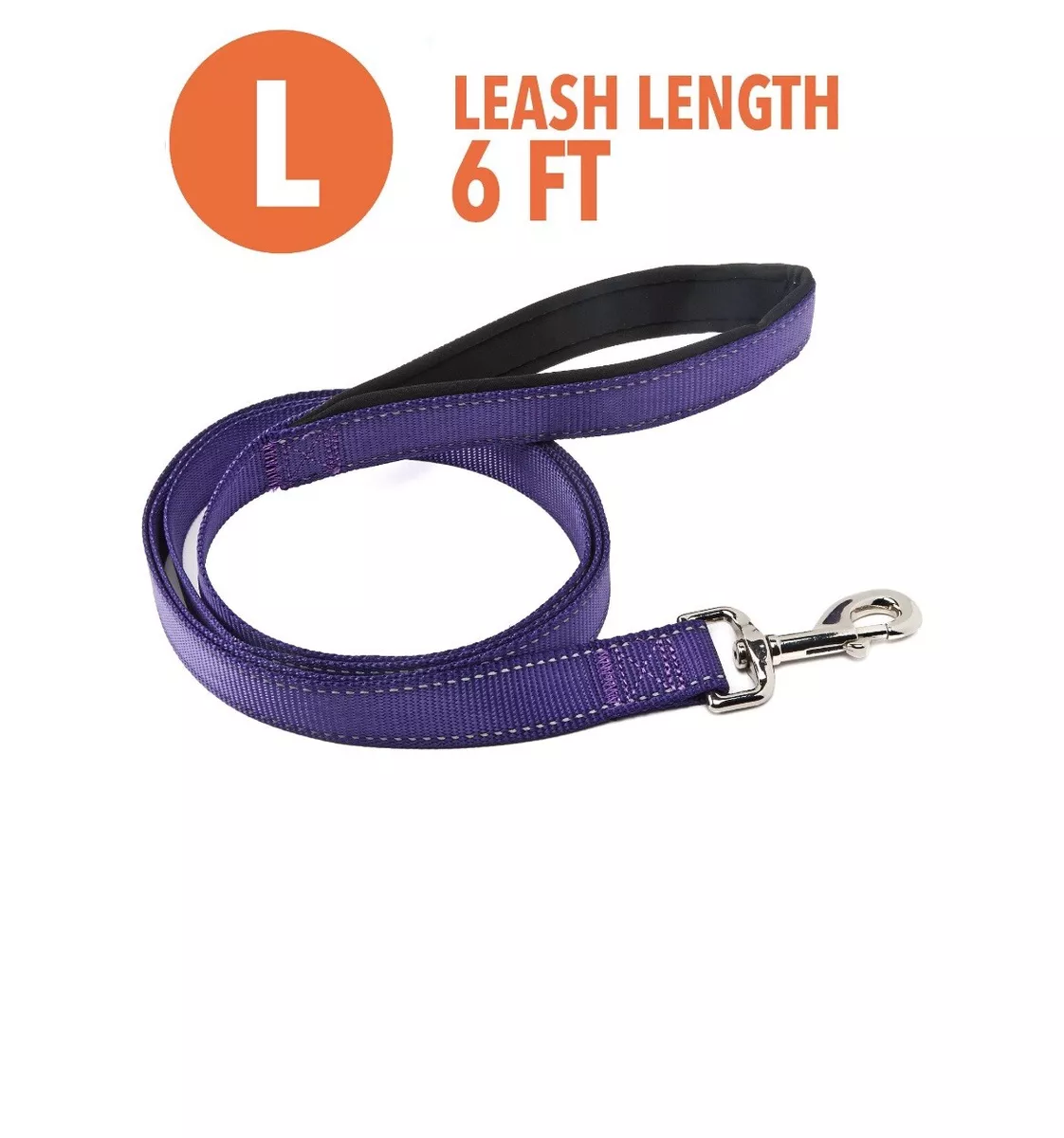 Vibrant Life Nylon Dog Leash Large Purple 6 ft long x 1 in wide