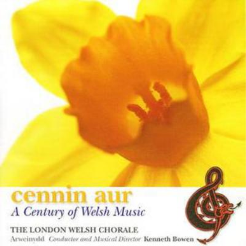Various Composers A Century of Welsh Music (CD) Album