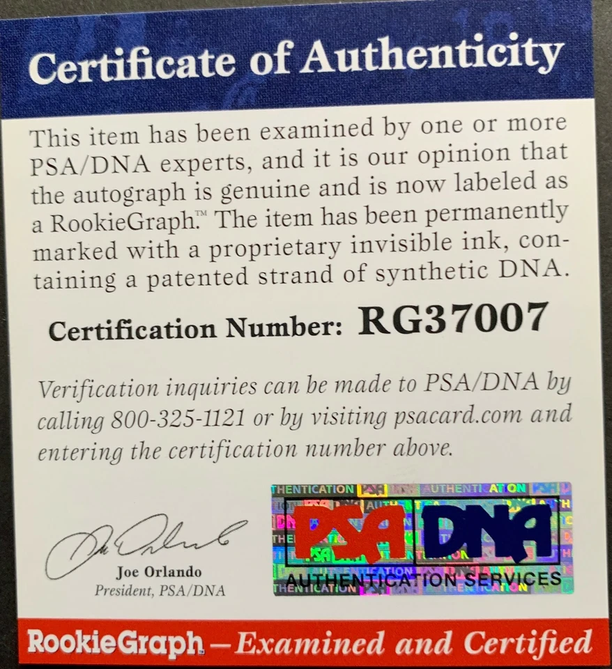 Scottie Lewis Florida signed autographed 8x10 authenticated PSA/DNA COA  - Image 2 of 2